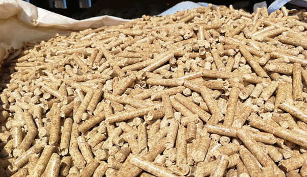 生態(tài)環(huán)境部回應(yīng)！生物質(zhì)成型燃料不是高污染燃料