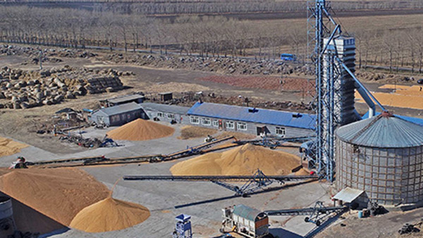 糧食烘干合作社如何做到年節(jié)省90萬元？利民萬佳鍋爐為您解析